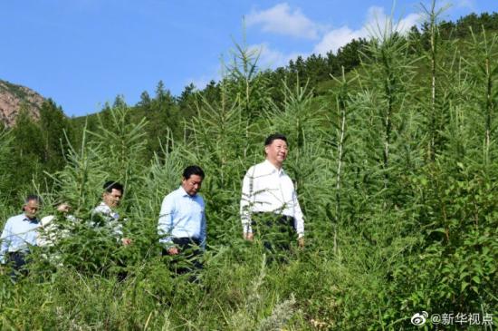 点击进入下一页