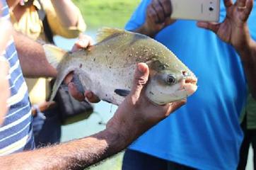 图片2.jpg 图片2.jpg