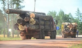 图片5.jpg 图片5.jpg