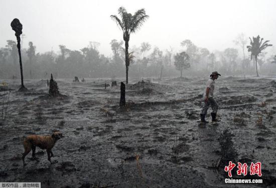 当地时间8月26日,巴西农民Aurelio Andrade走过亚马逊热带雨林被烧毁的地区。8月26日公布的数据显示,巴西亚马逊地区又发生了数百起大火,而与此同时,军用飞机正在向受灾严重地区喷水 点击进入下一页