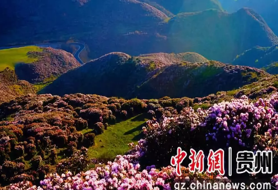 QQ图片20191009131219.png