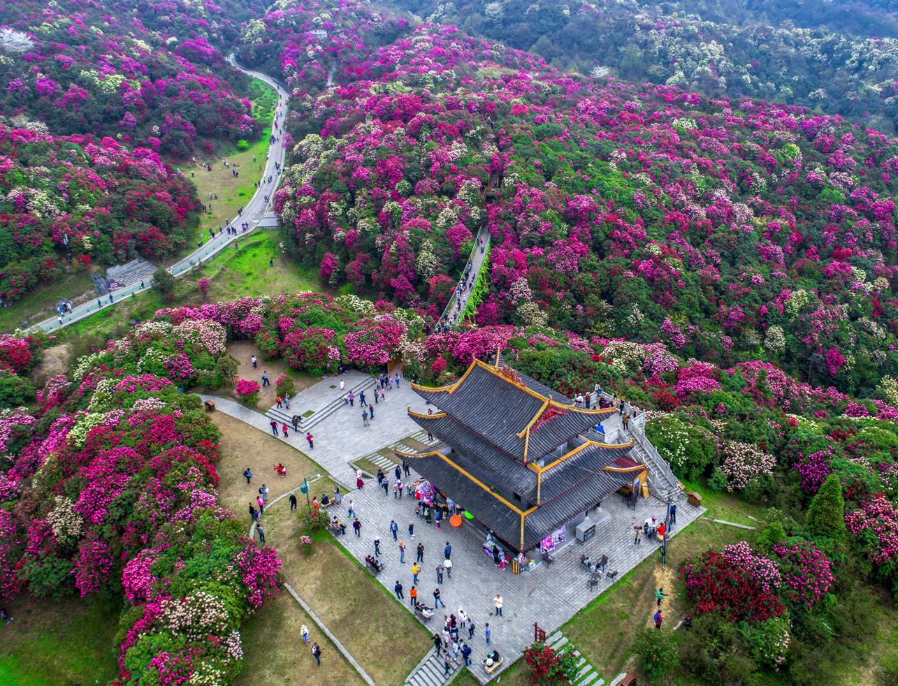 图片7.jpg