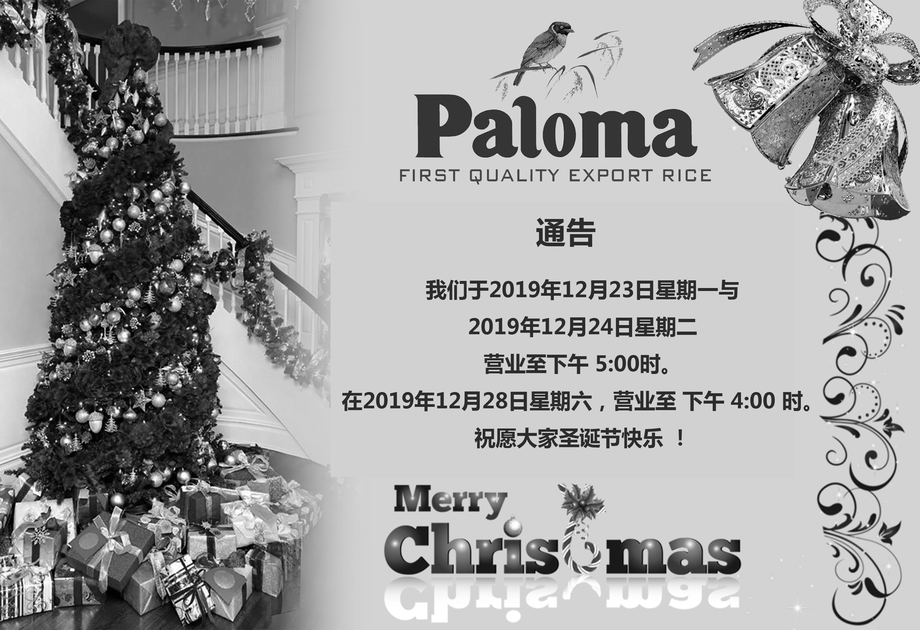 Paloma Kerst.jpg