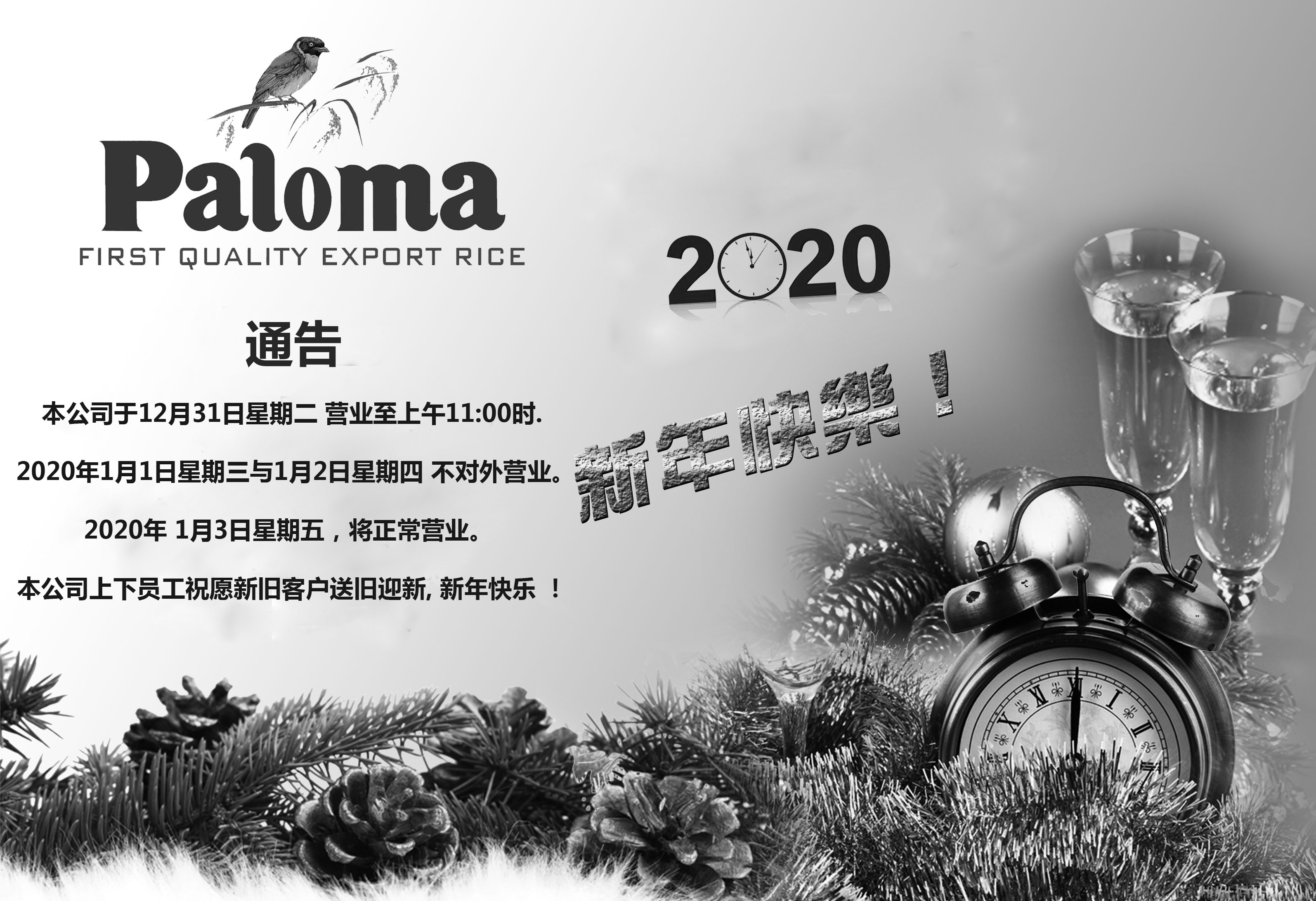 Paloma New year.jpg