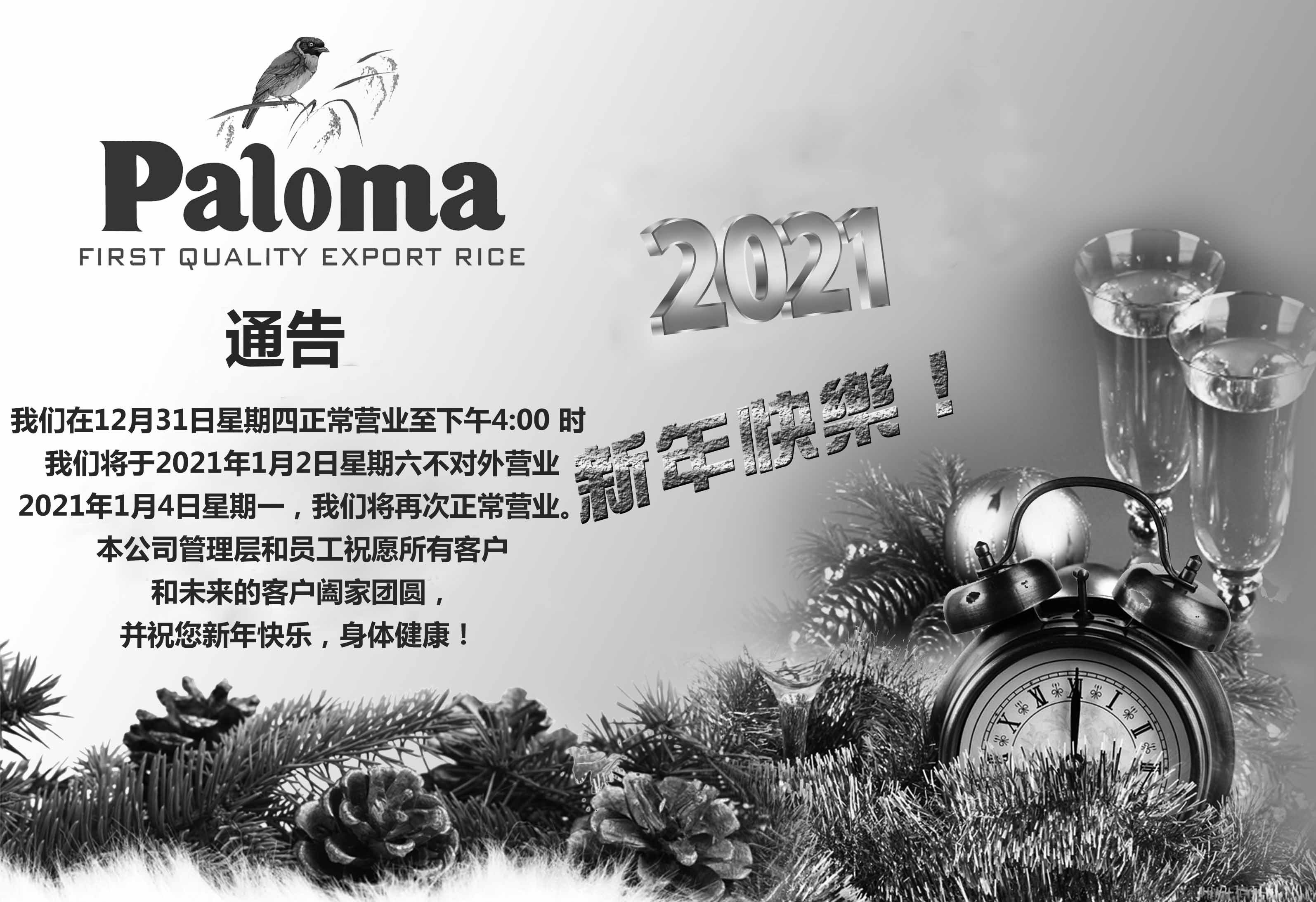 Paloma New year.jpg