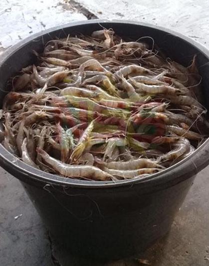 图片6.jpg 图片6.jpg