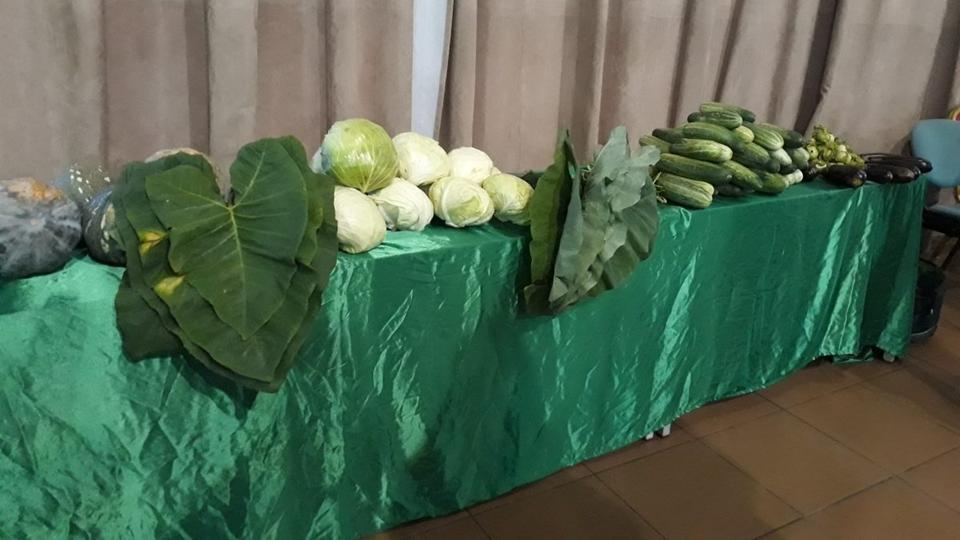 图片3.jpg 图片3.jpg