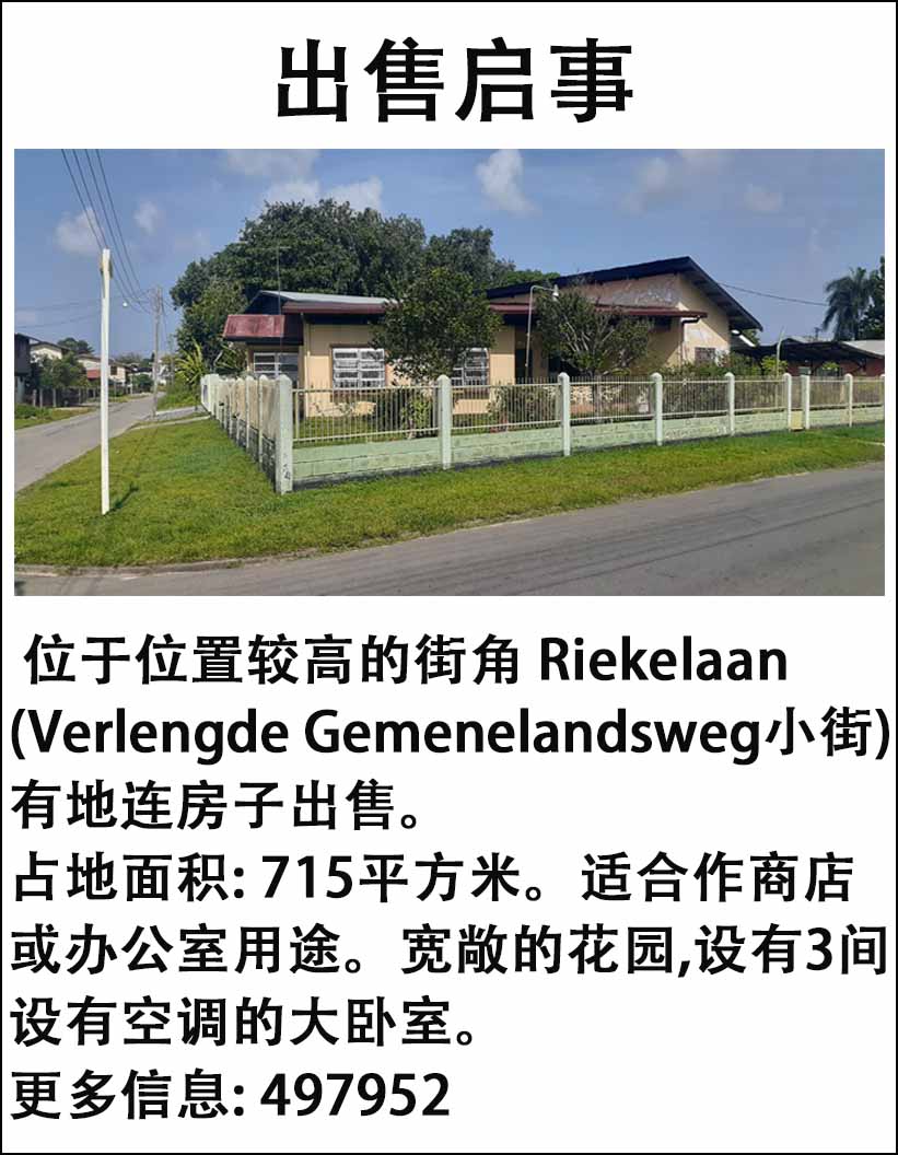 Te koop.jpg