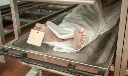 图片3.jpg 图片3.jpg