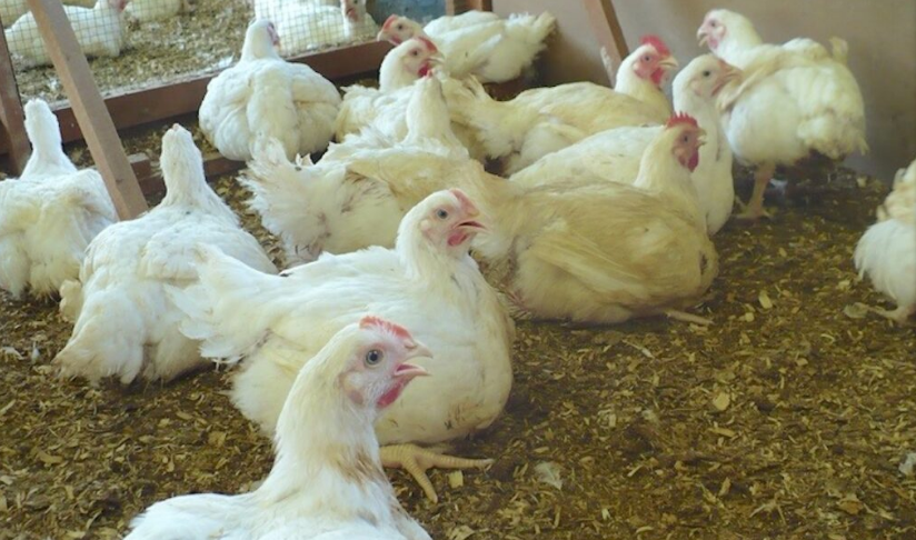 QQ图片20210918154818.png QQ图片20210918154818.png