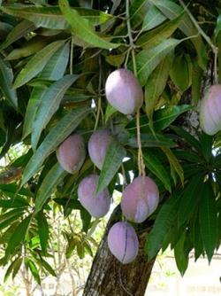 图片4.jpg 图片4.jpg