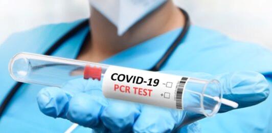 图片5.jpg 图片5.jpg