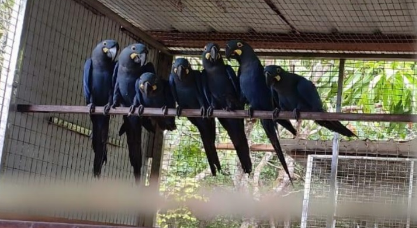 QQ图片20230822152028.png QQ图片20230822152028.png