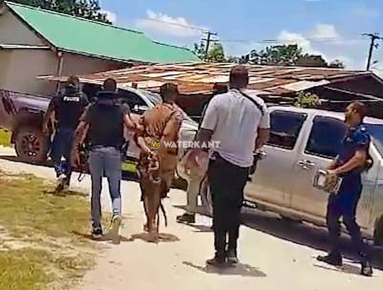 图片7.jpg 图片7.jpg