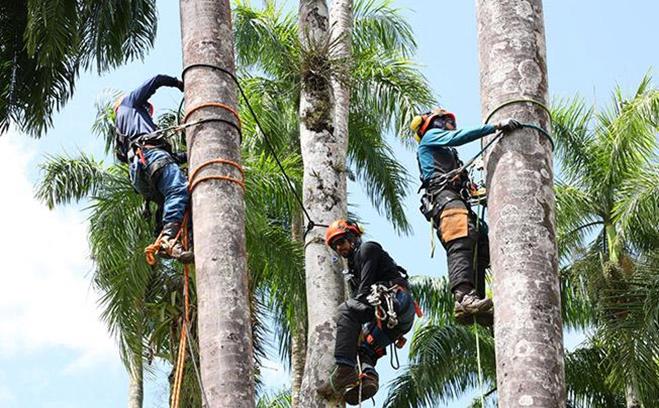 图片5.jpg 图片5.jpg