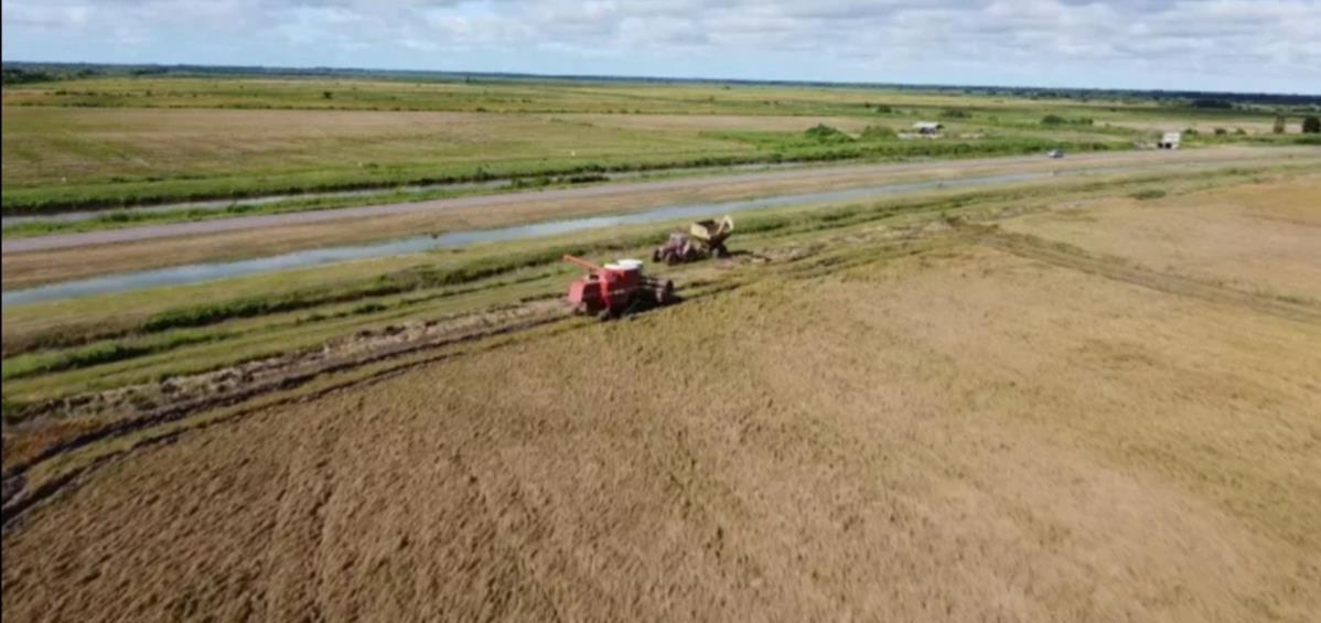 图片3.jpg 图片3.jpg