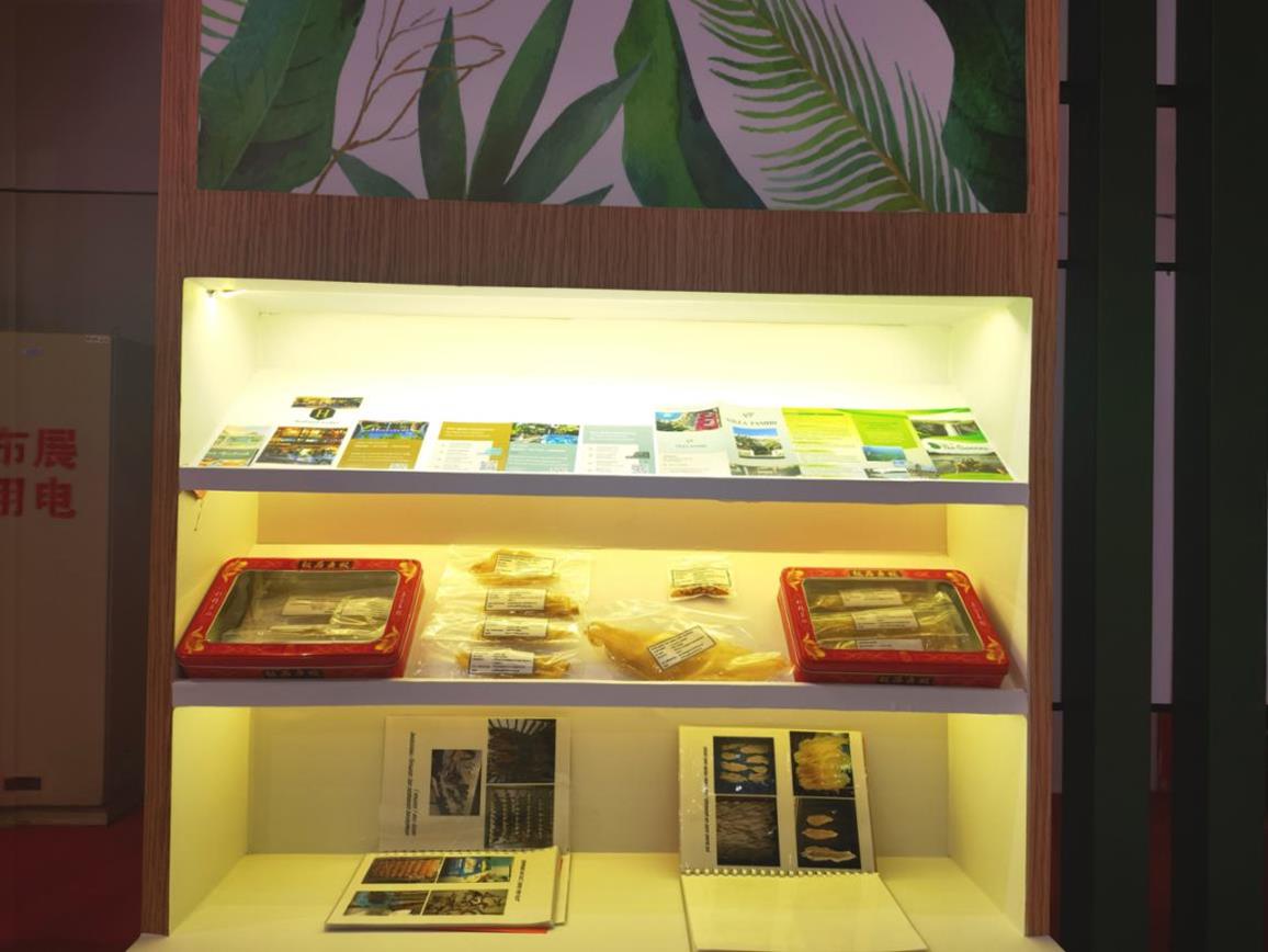 图片17.jpg 图片17.jpg