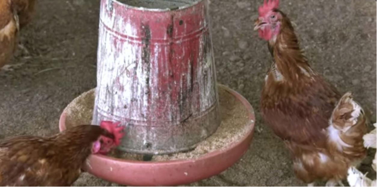 图片6.jpg 图片6.jpg