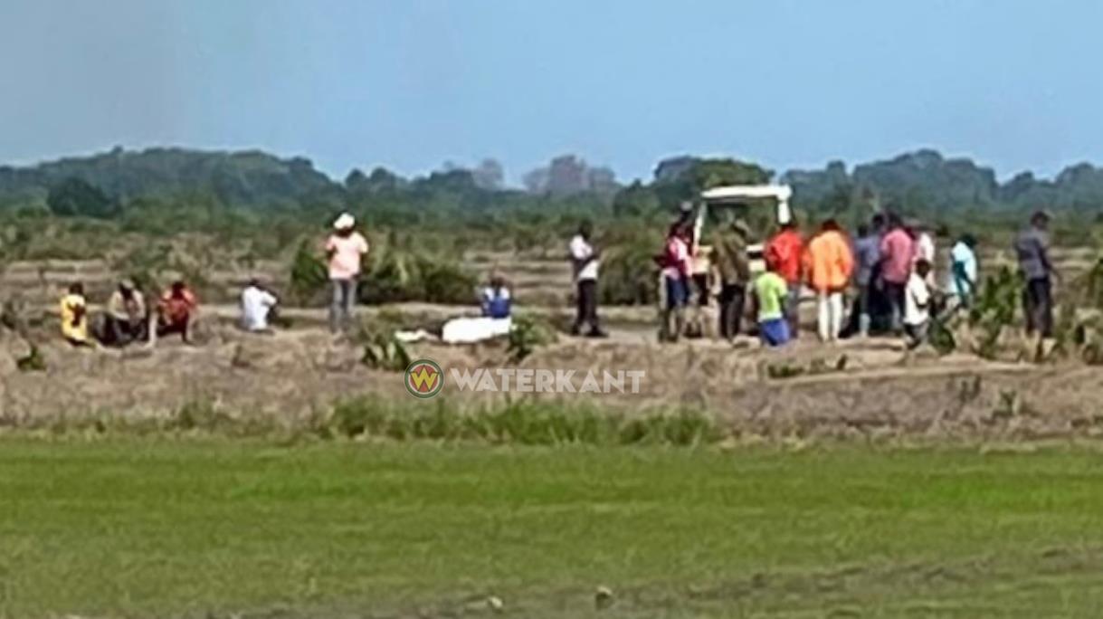 图片7.jpg 图片7.jpg