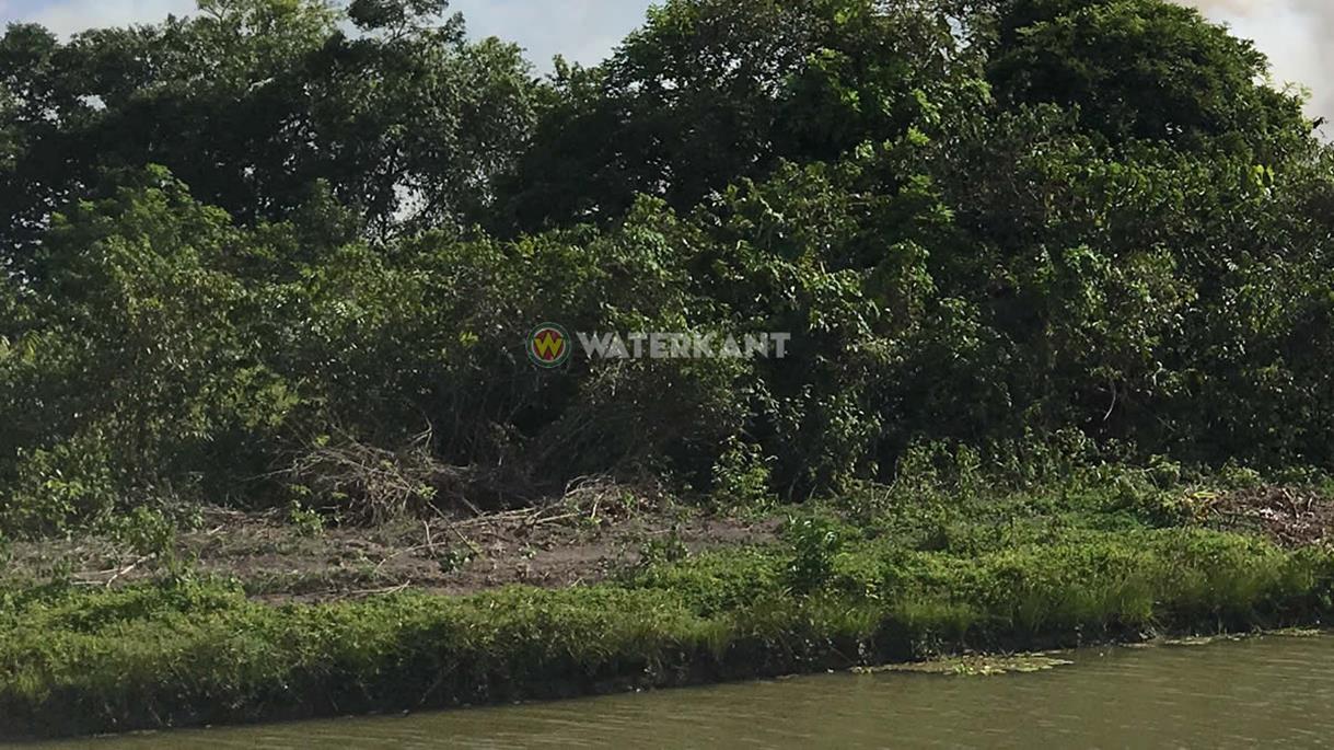 图片4.jpg 图片4.jpg