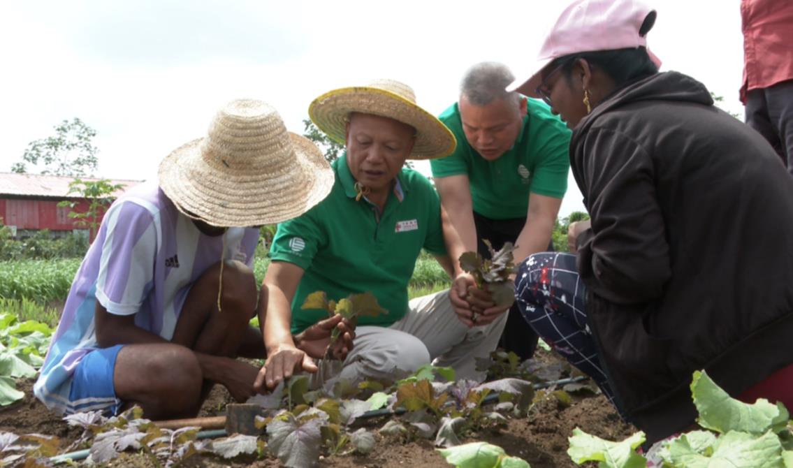 图片25.jpg 图片25.jpg