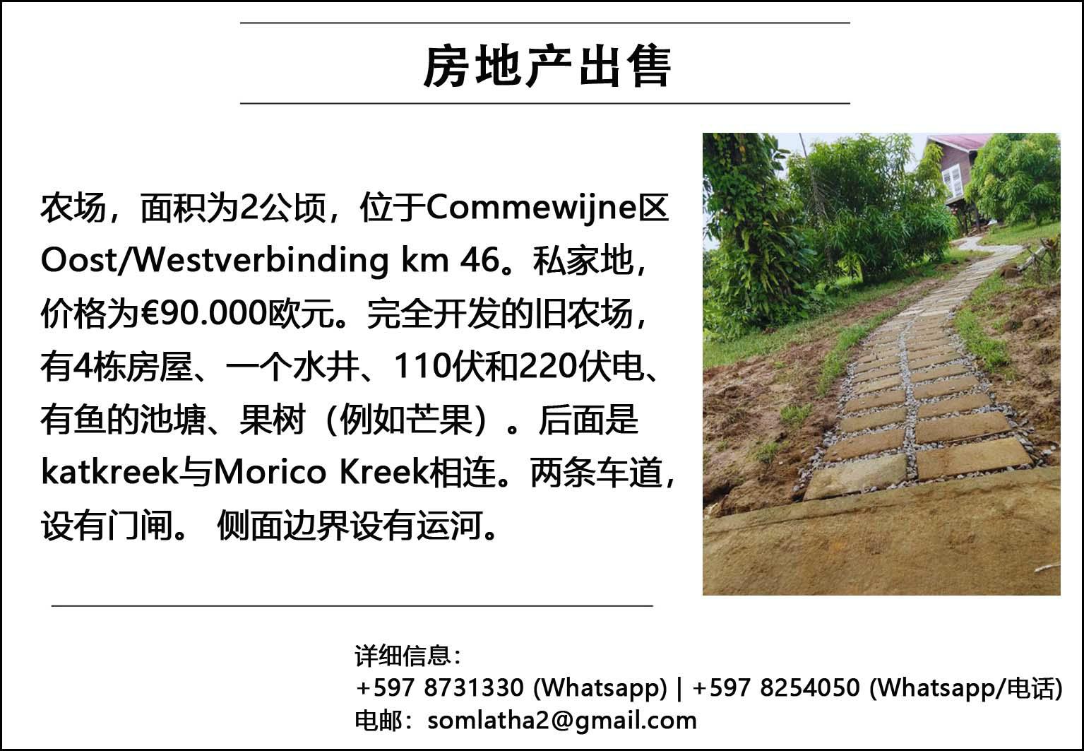 Te koop Commewijne Oost-West Verbinding_毒霸看图.jpg