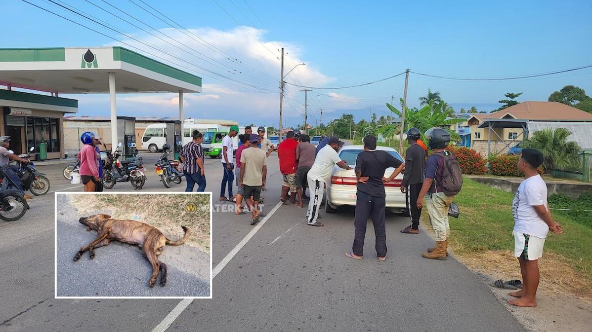 图片6.jpg 图片6.jpg