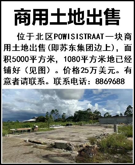 图片6.jpg