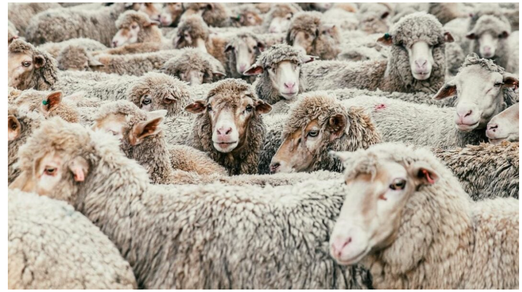 QQ截图20251023160440.png QQ截图20251023160440.png