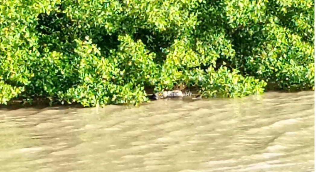 QQ截图20251112124016.png QQ截图20251112124016.png