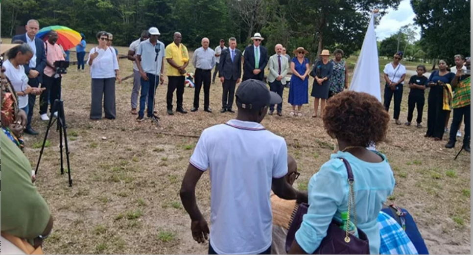 QQ截图20251201005333.png QQ截图20251201005333.png