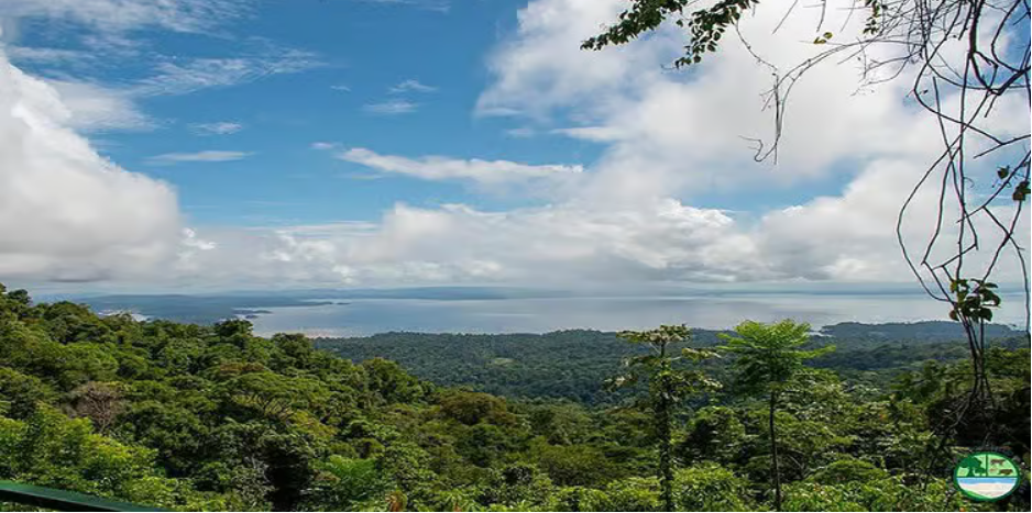 QQ截图20251213223928.png QQ截图20251213223928.png