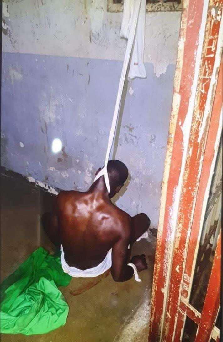 93df5db7-b3df-4038-ae86-fd8f7206e888.jpg 93df5db7-b3df-4038-ae86-fd8f7206e888.jpg