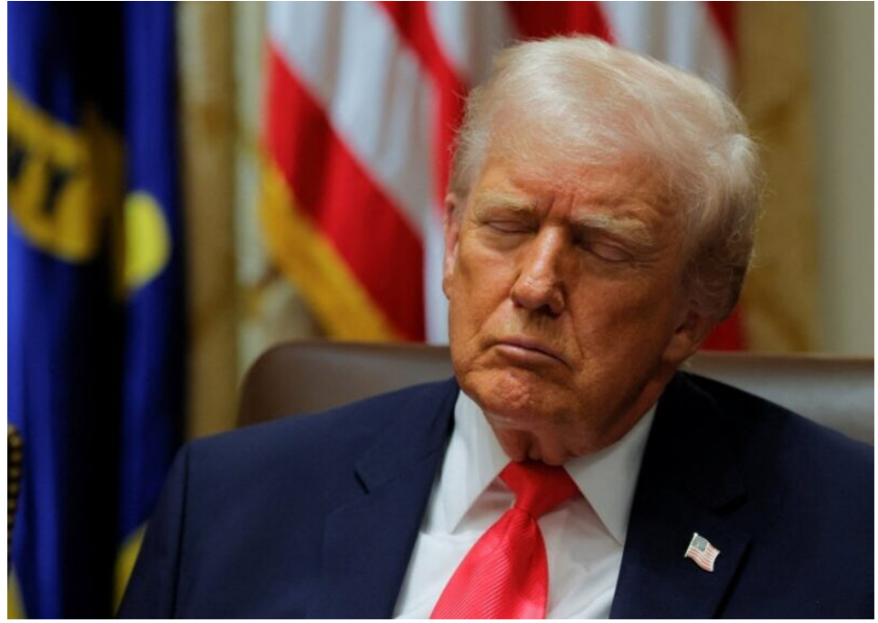 QQ截图20260126005241.png QQ截图20260126005241.png