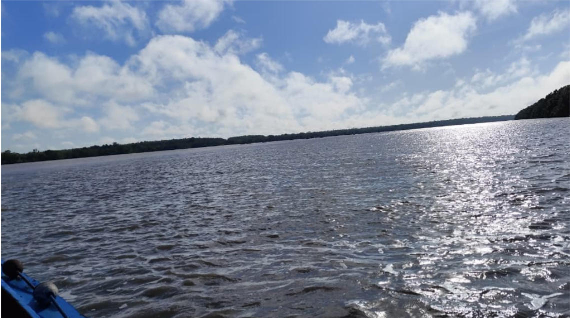 QQ截图20260201231838.png QQ截图20260201231838.png