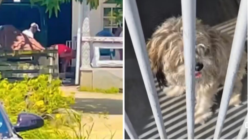 QQ截图20260228003721.png QQ截图20260228003721.png