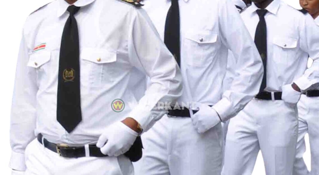 douane-suriname-1068x586.jpg